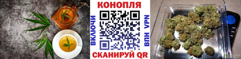 Еда ТГК конопля  Купить где  Каменногорск 