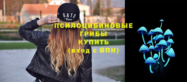 мдма Горнозаводск