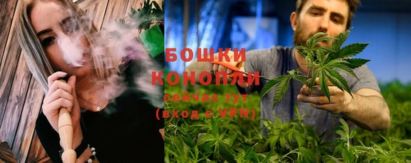 2c-b Горняк