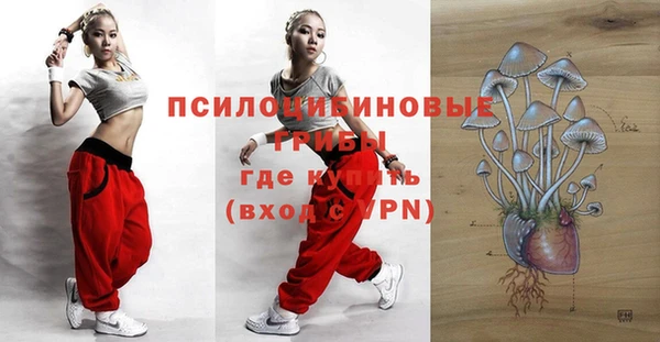 apvp Горно-Алтайск