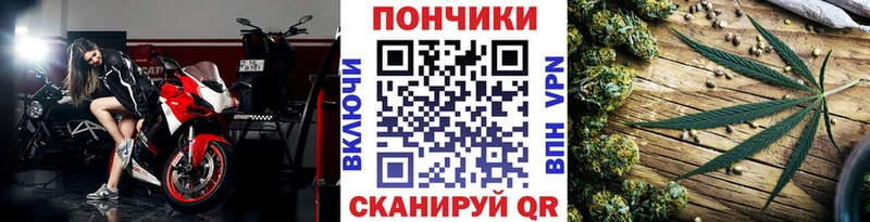 Бошки марихуана сатива  Купить закладки  Каменногорск 